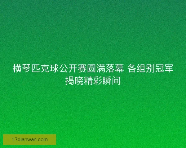 横琴匹克球公开赛圆满落幕 各组别冠军揭晓精彩瞬间
